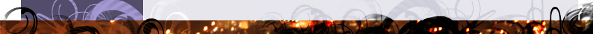 BOTTOM LOGO